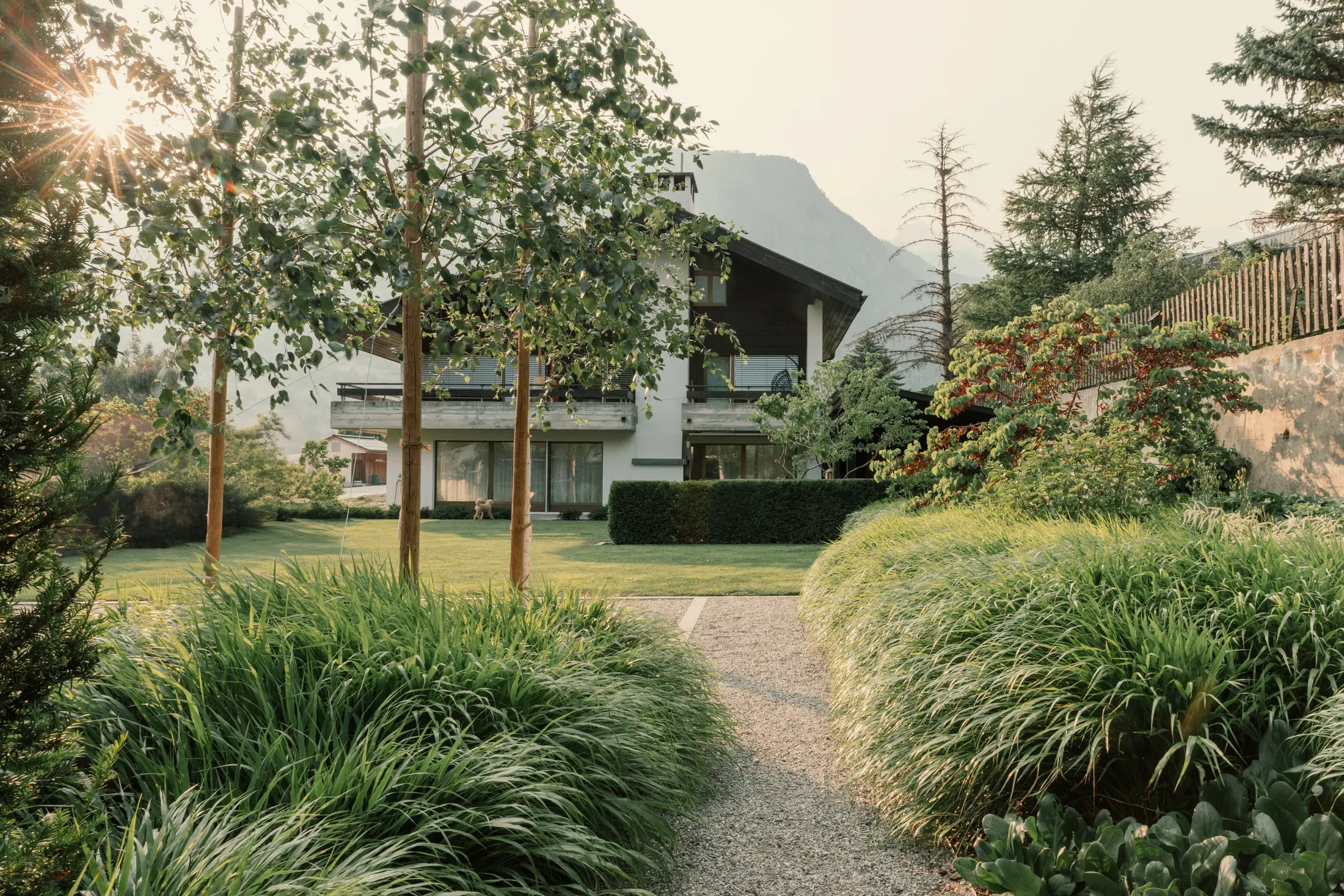Modernes weißes Wohnhaus mit flachem Dach in Berglandschaft, großflächig verglast, Garten mit Ziergrässern und grünem Rasen im Vordergrund
