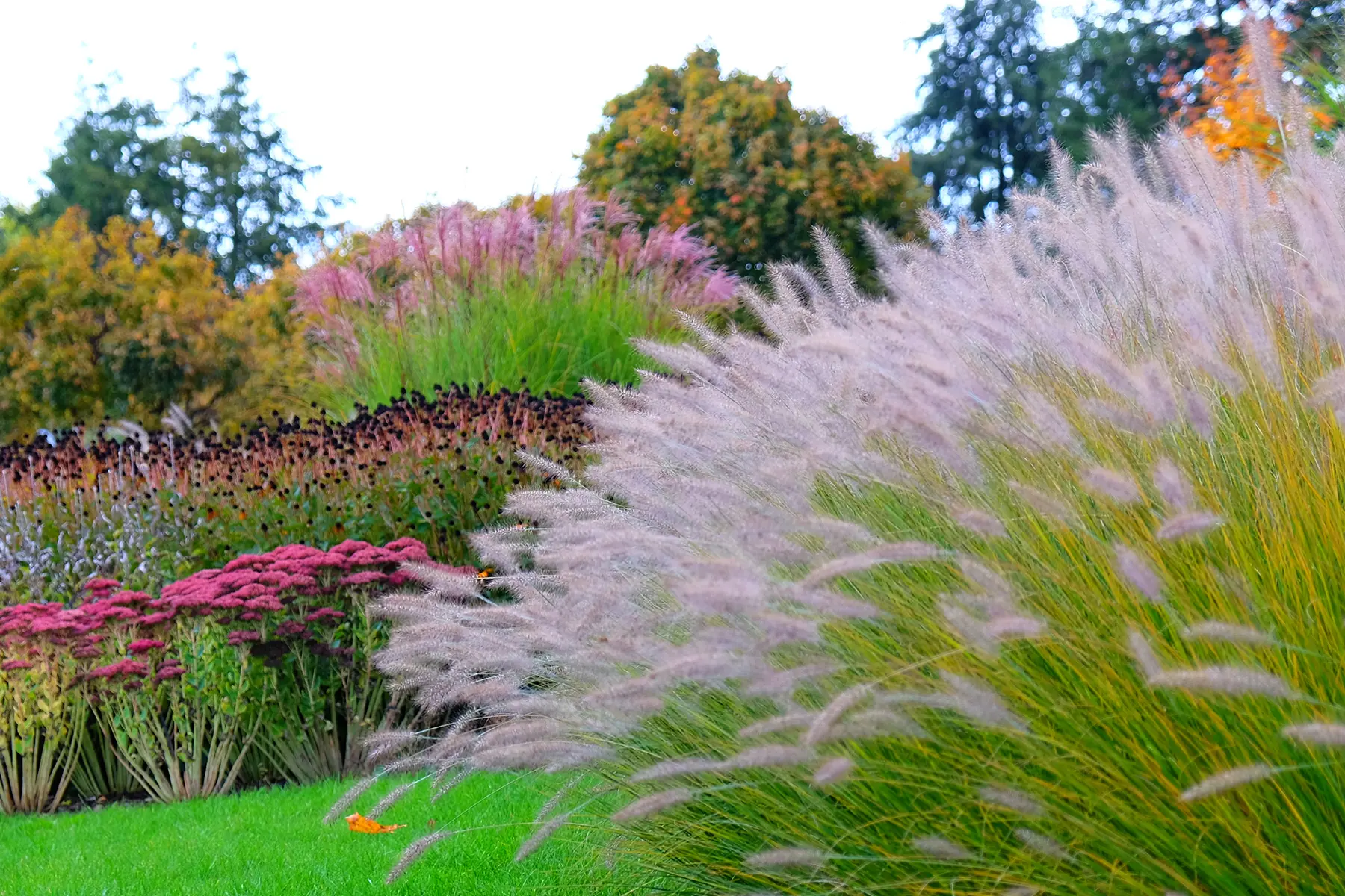Friedhofspark mit herbstlichen Stauden in Rosa, Lila und Weiss sowie feingliedrigen Gräsern.