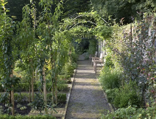 Was ein Garten wirklich kostet