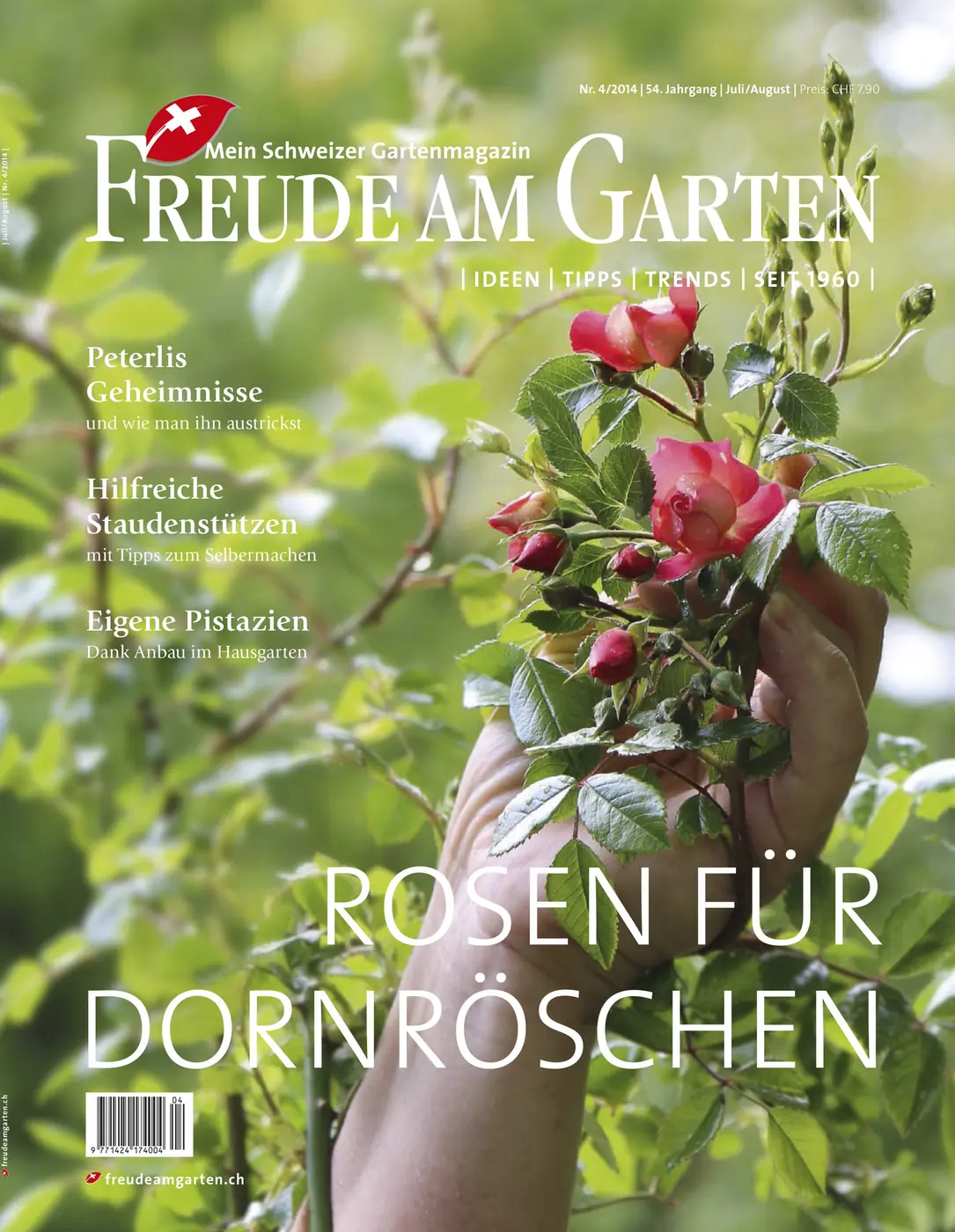 PDF lesen