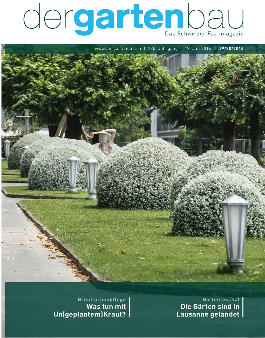 PDF lesen