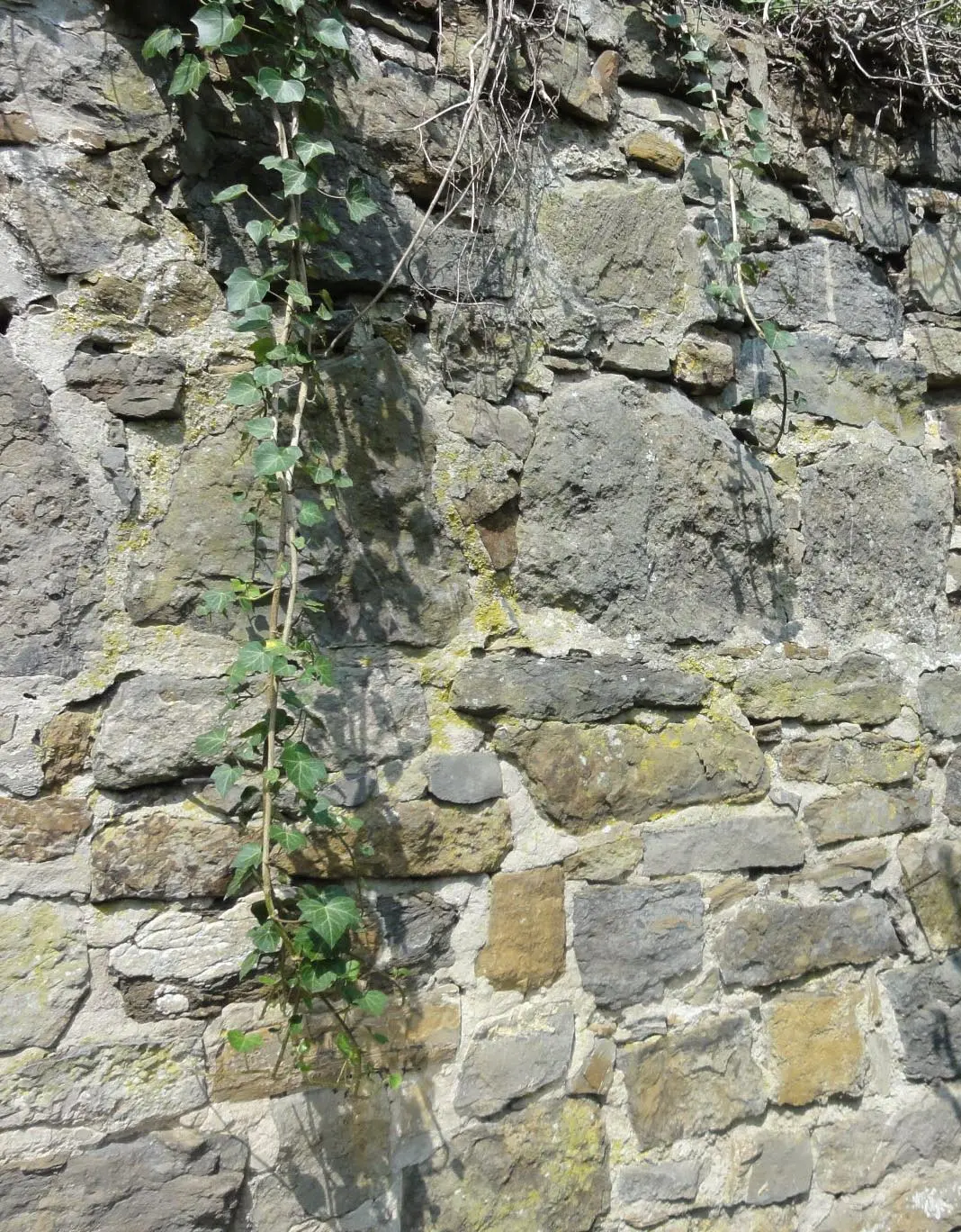 10 _Ippenburg