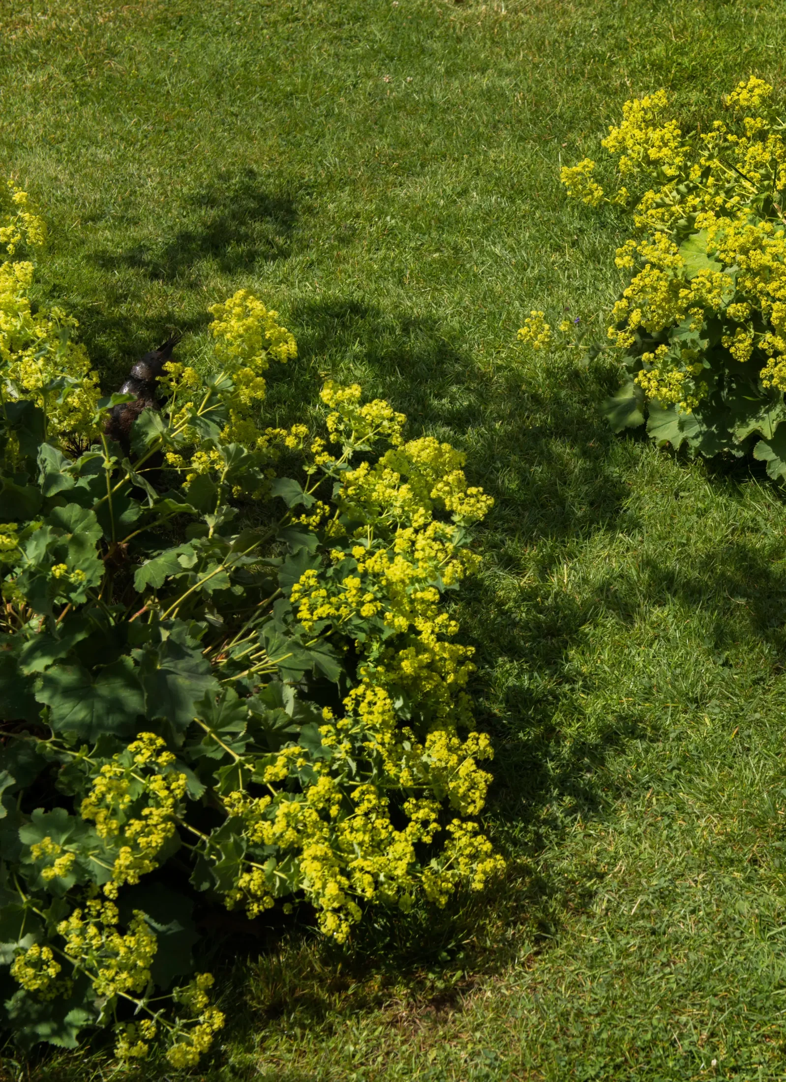 3_Liebefeld_Wabern.